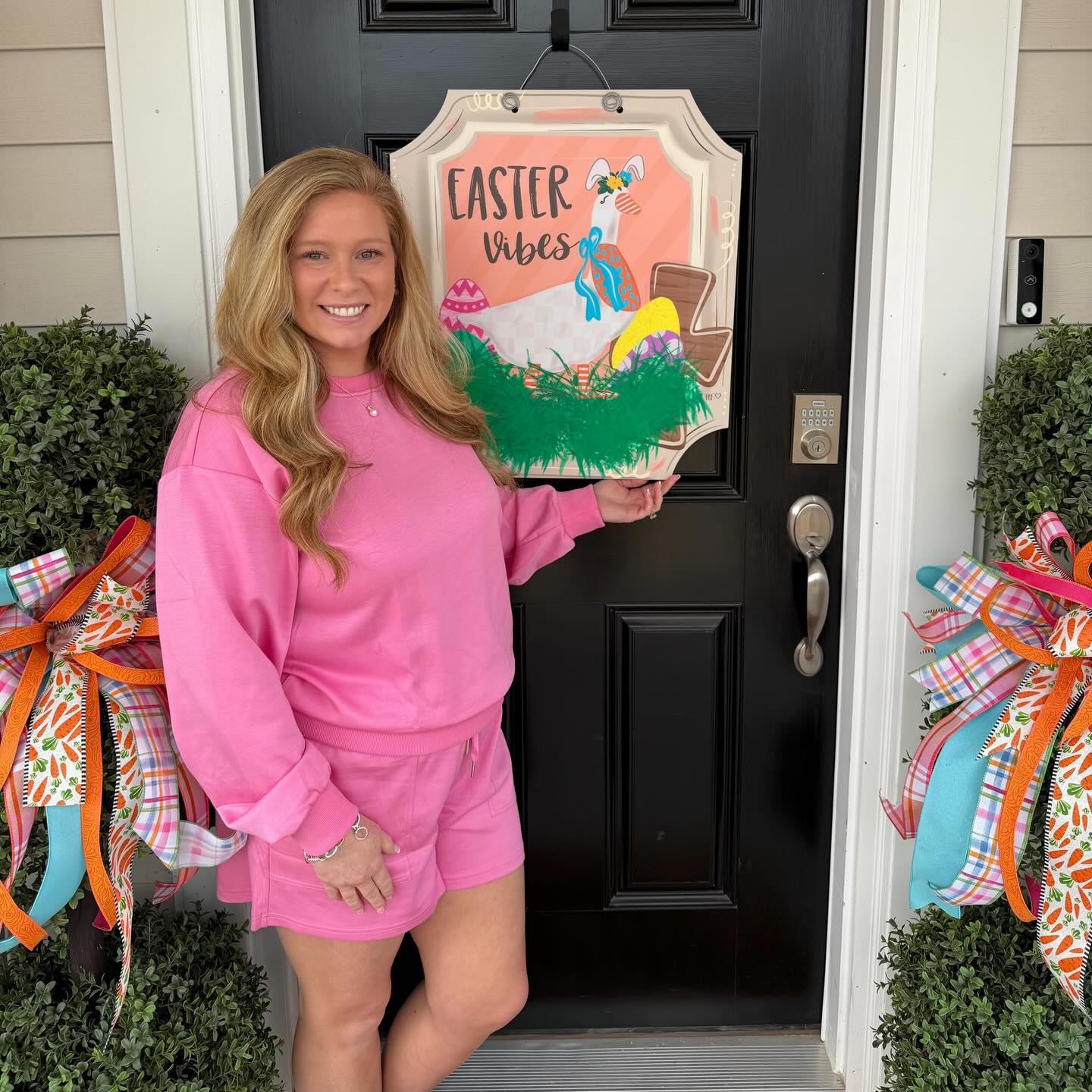 Easter Vibes Bunny Goose Door Hanger
