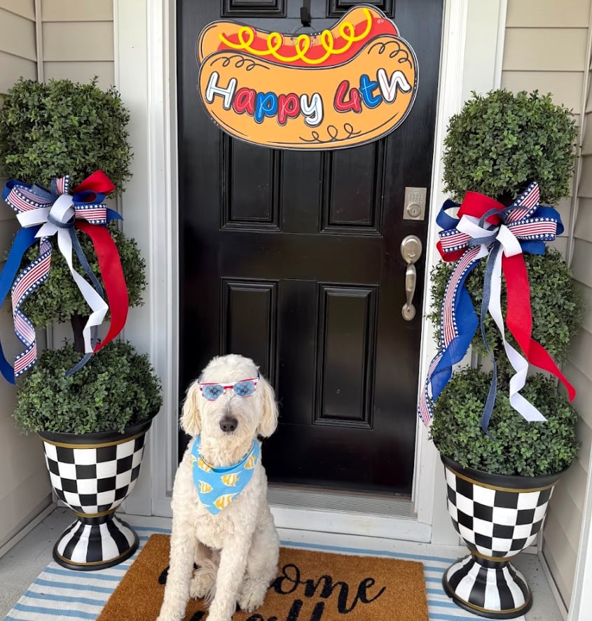 Happy 4th Hot Dog Door Hanger